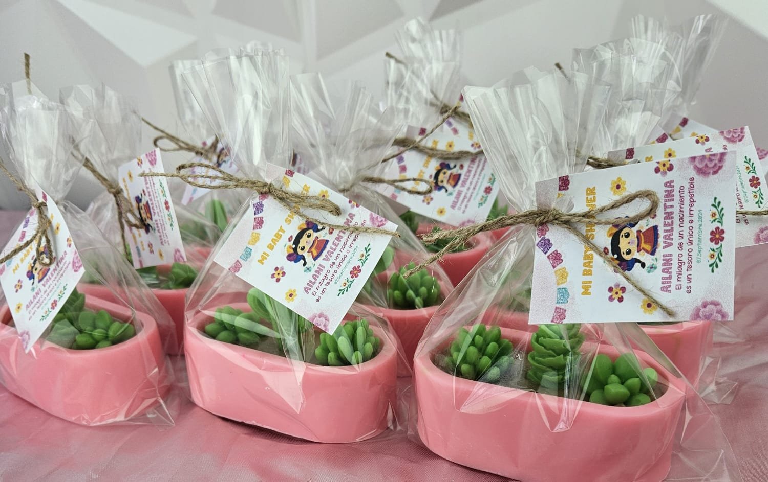 Maceta ovalada con plantitas - Image 5