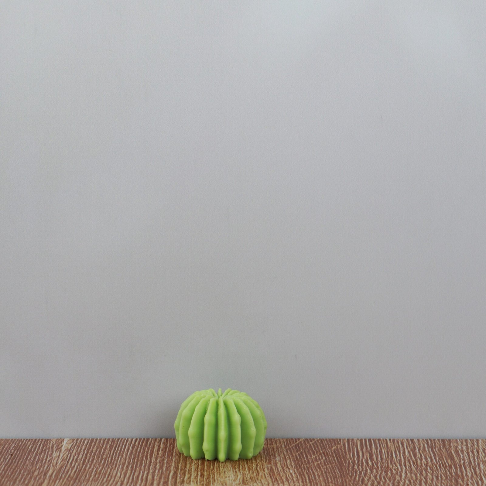 Maceta circular con cactus